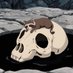 CrawlingMoon (@crypto_proph) Twitter profile photo CrawlingMoon (@crypto_proph) Twitter profile photo