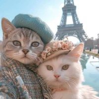 linda holmes (@pussinpjs) 's Twitter Profile