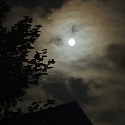 edgezwrld's profile picture. 