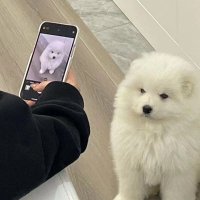 05 (@febblurpt) 's Twitter Profile