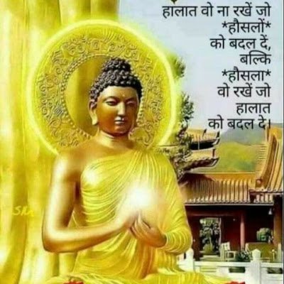 Seasonoflo78366's profile picture. 