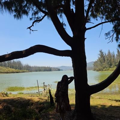 candeboi's profile picture. i enjoy tweeting for myself and 7 loyal followers. @candealtb