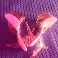 Loquitos5 (@loquitos5) 's Twitter Profile