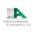 INA Industria Nacional de Autopartes, A.C.