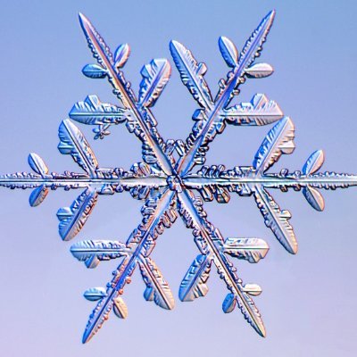 I Find Snowflakes on X Profile