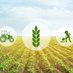Economics and Agriculture (@agriecono) Twitter profile photo Economics and Agriculture (@agriecono) Twitter profile photo