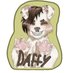 Daff! (@jellyfishyyy13) Twitter profile photo Daff! (@jellyfishyyy13) Twitter profile photo