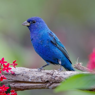 effect_noetic's profile picture. We take reality for granted, as just normal. But it's all a miracle. It's all a gift from God.