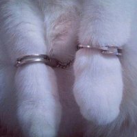 抹茶 (@mocha66242) 's Twitter Profile
