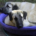 Brian Miezejewski - @K5HFI - Twitter