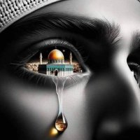 Şahin Bitiş (@sahinbitis) 's Twitter Profile Photo Şahin Bitiş (@sahinbitis) 's Twitter Profile Photo