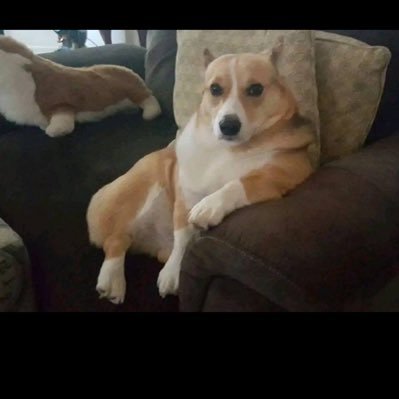 sne84844980's profile picture. Another account gang