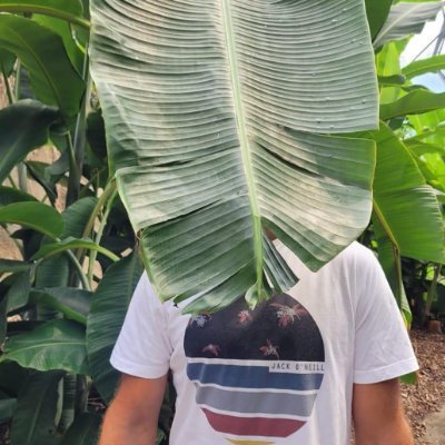 MurphyAsk15360's profile picture. 