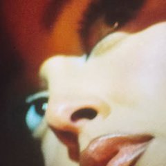 LIPSTAIN. Profile