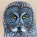 Ra's owl Ghul (@333owl) Twitter profile photo Ra's owl Ghul (@333owl) Twitter profile photo