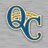Quad Cities River Bandits
