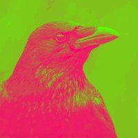 TheCrowReturns🍁🇨🇦 (@theucpsucks) 's Twitter Profile Photo TheCrowReturns🍁🇨🇦 (@theucpsucks) 's Twitter Profile Photo