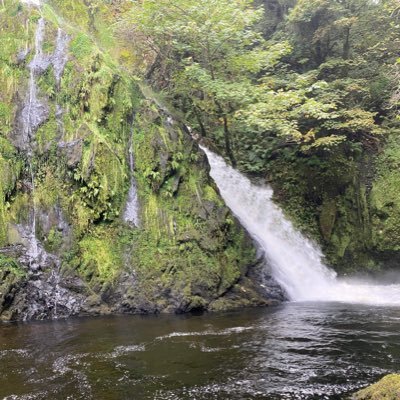 lickthestampsr's profile picture. 