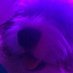 michi ★彡 (@cyberxmamii) Twitter profile photo michi ★彡 (@cyberxmamii) Twitter profile photo