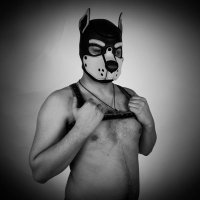 PupJax13 (@pupjax413) 's Twitter Profile
