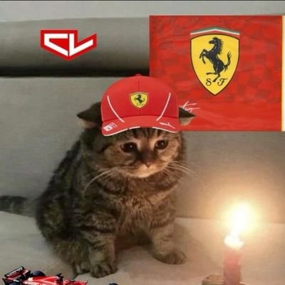 leklurk's profile picture. come ci fai sognare
📌 iit delhi