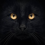 Shaddowyn Darkmere (@shaddowyn) 's Twitter Profile Photo Shaddowyn Darkmere (@shaddowyn) 's Twitter Profile Photo