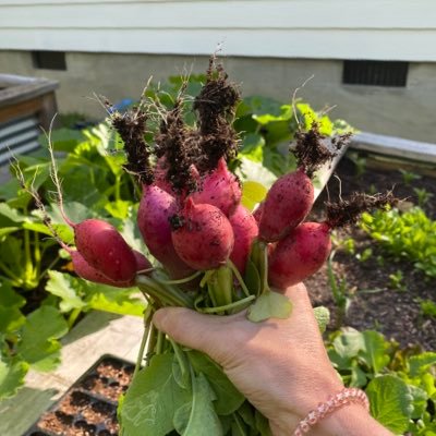 🪴GROWing an organic garden. 🏡 BUILDing our forever homestead. 🧘♀️ HEALing naturally from autoimmune disorder.