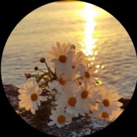 سما✨ (@almutaire0777) 's Twitter Profile