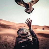 سالم (@fi0ii3i84459) Twitter profile photo