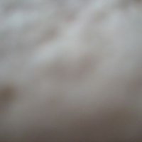 樋 (@aowbtypfts33498) 's Twitter Profile