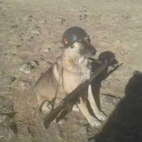 Ozan Siyasi Suçlu (@ozansiyasisuclu) Twitter profile photo
