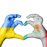 Rocío Velázquez (@lun4n3gr4) 's Twitter Profile Photo