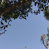 khaled (@khaledali_6090) 's Twitter Profile Photo