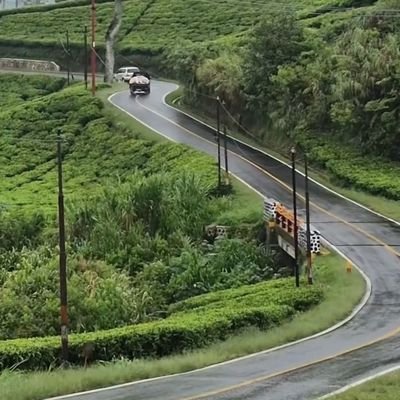 Kiprono_MD's profile picture. Black King.
medicine & surgery.
canines.
mama ❤️