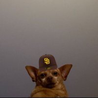 🗡️ 𝖈𝖍𝖗𝖎𝖘𝖙𝖎𝖆𝖓 (@chrstnxnder) 's Twitter Profile Photo