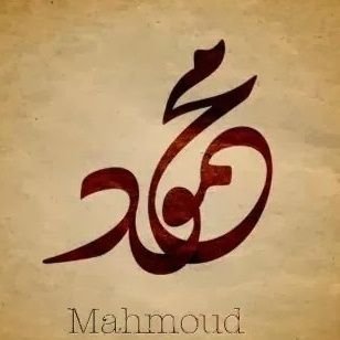 Dr.Mahmoud Profile