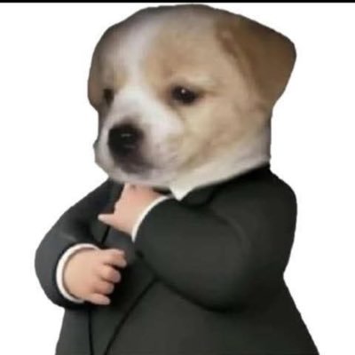 2041dt's profile picture. 