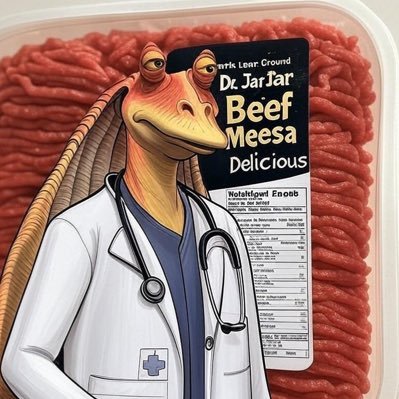 JarJarBeef's profile picture. | Emergency Medicine RN, BSN | |Elite Fortnite player | Christian | | Conservative | Outdoorsmen |