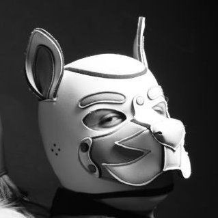 🔞| Puppy girl | 🏳️🌈Gay | 5’3 | Alt of @MartiVRC |DJ-enerate | #TeamPrEP | A bit of a goober…