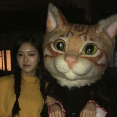 #1 tayloona defender 😚 hit reply creator 💛 the eras tour 149x ✌️ GOD PLEASE BRING OUR FAMILY BACK TOGETHER