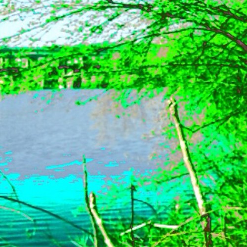 funkotopian's profile picture. Establishing the Natural World Order through the global permaculture party