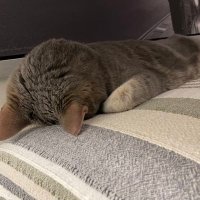 jam (@jamabemus) 's Twitter Profile Photo