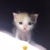Helin (@helin2737345544) Twitter profile photo Helin (@helin2737345544) Twitter profile photo