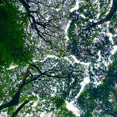 S2BD369's profile picture. 視点を少し変えるだけで全く違うものが見えてくる。"Same same but different" 英仏語から時々訳して投稿します。
*素人の翻訳ですことをご留意ください。