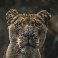 Halim Seutter (@hseutter3814) 's Twitter Profile