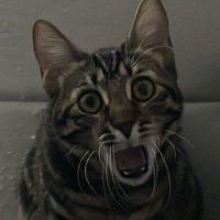 DaddyRyuk (@wiseryuk) 's Twitter Profile Photo DaddyRyuk (@wiseryuk) 's Twitter Profile Photo