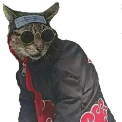 thalescastrorx's profile picture. ???
