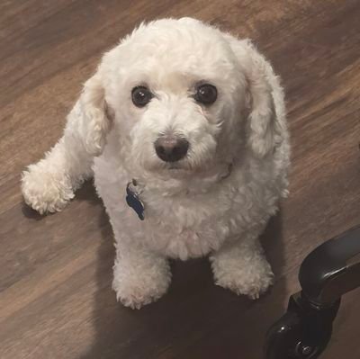 Alex0260224111's profile picture. 