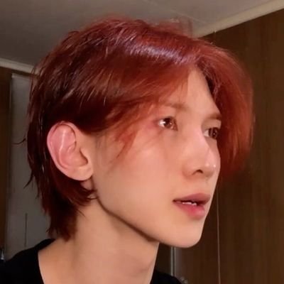 여상' lari .☘︎ ݁˖ (on hiatus) Profile