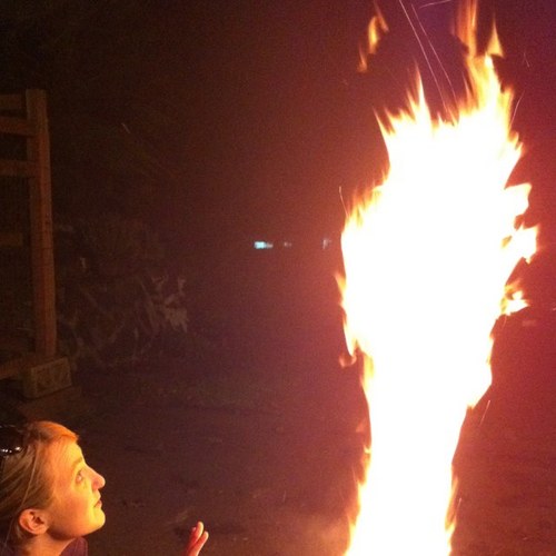 djalowe's profile picture. 